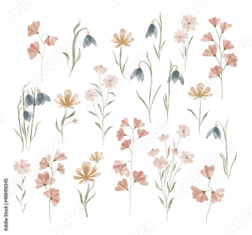 Watercolor trendy flowers. Vector illustration for web, app and print. Elegant feminine shapes floristic isolated daisies, bluebells, sweet peas flowers. Garden, botanical, minimalistic floral set.