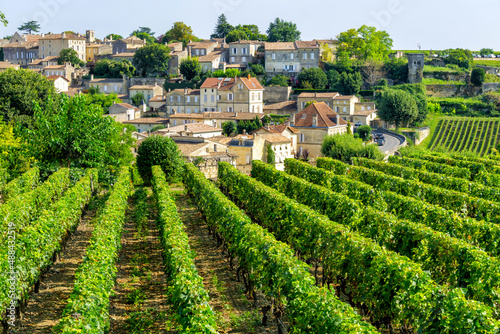 Vineyards of Saint Emilion village