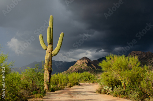 Sonoran desert trail and ominous clouds