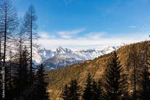 Coniferous forest and snowy mountains of Simplon Pass in Switzerland.