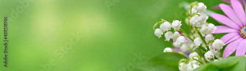 bouquet of freshness flowers with lily of the valley blooming on green background in panoramic view
