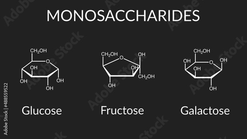 Vector illustration of monosaccharides: glucose, fructose, and galactose.
