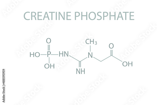 Creatine phosphate molecular skeletal chemical formula. 