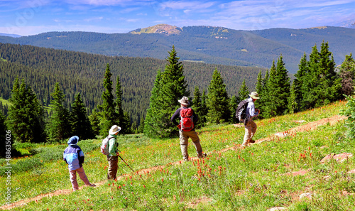 Hikers and wildflowers on Colorado's Shrine Ridge Trail near Vail Pass.