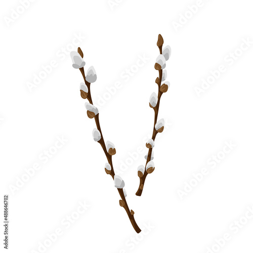 Easter spring twigs blossom pussy willow tree. Vector spring holiday illustration in cartoon flat style isolated on a white background.