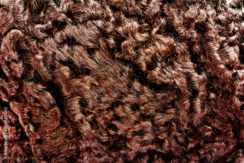 Backdrop close-up photo texture of brown colored astrakhan fur material.