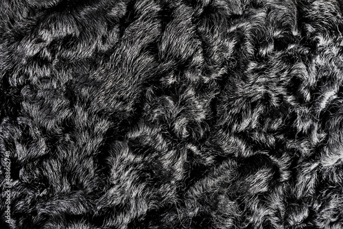 Backdrop close-up photo texture of black colored astrakhan fur material.