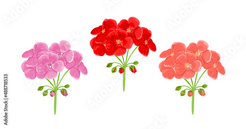Geranium flowers isolated on white background. Flowering garden plant of red and pink color. Vector cartoon flat illustration. Floral icons.