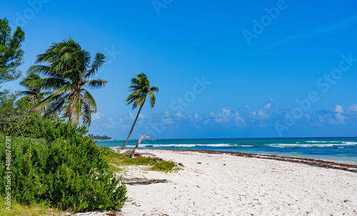 White sand beach of Playa del Carmen, Yucatan.