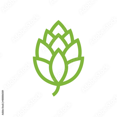 Hop icon vector beer cone pine illustration leaf art bud green decoration. Beer fresh hop icon isolated