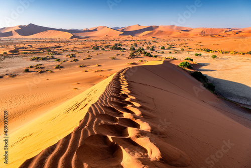Footprints of a morning hike on the dunes of Sossusvlei, Namibia