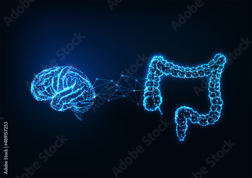 Futuristic gut brain connection concept with glowing low polygonal human brain and intestine 