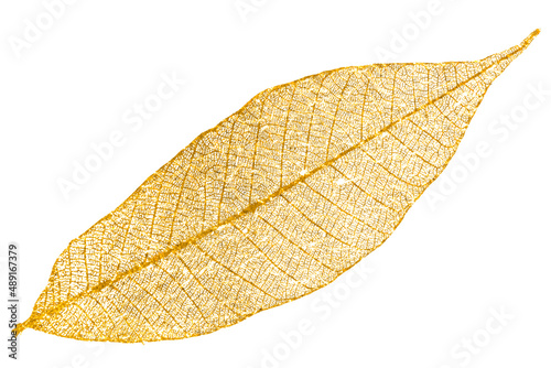 feuille dorée sur fond blanc 