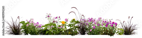 Flowerbed with different blooming plants and flowers isolated on white background