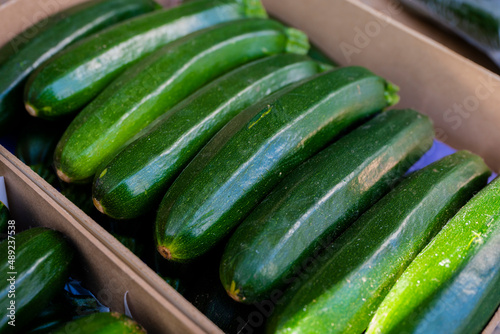 młoda cukinia, Młoda cukinia zebrana wiosną, Cukinia w pudełkach / young zucchini, Young zucchini harvested in spring, zucchini in boxes