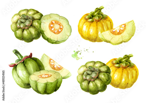 Garcinia cambogia atroviridis fruit set, superfood, antioxidant. Hand drawn watercolor illustration isolated on white background