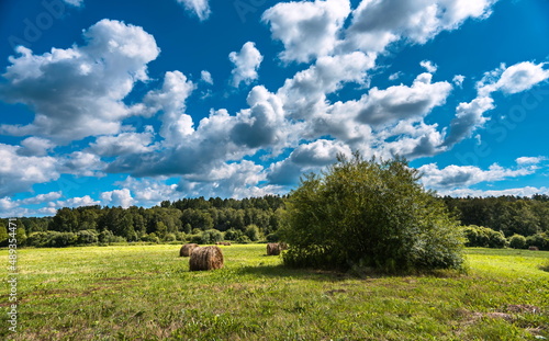 stacks of hay bales in a field on a summer day 