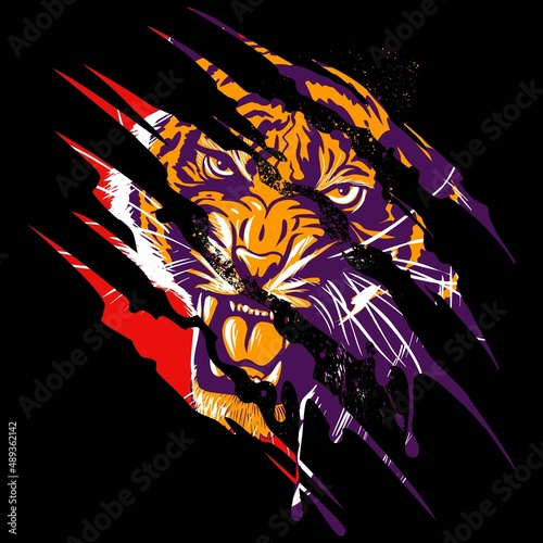 Roaring, angry tiger face, vector tiger head illustration with the claws scratch.