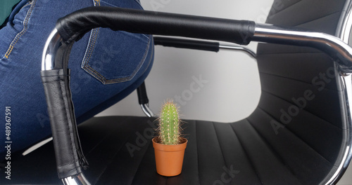 Concept. A woman holds a cactus as a symbol of rectal pain. Varicose veins of the lower intestine. Pain in the rectum, hemorrhoids and pain in the excretory system of the body. Proctology