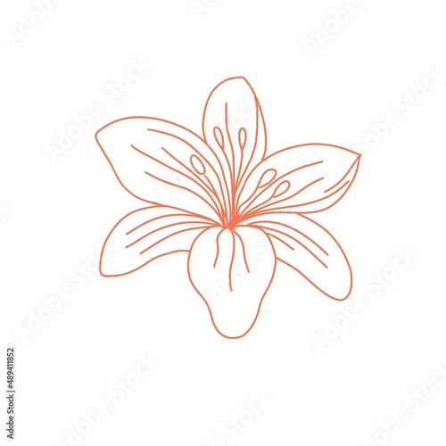 flower lili icon logo design template