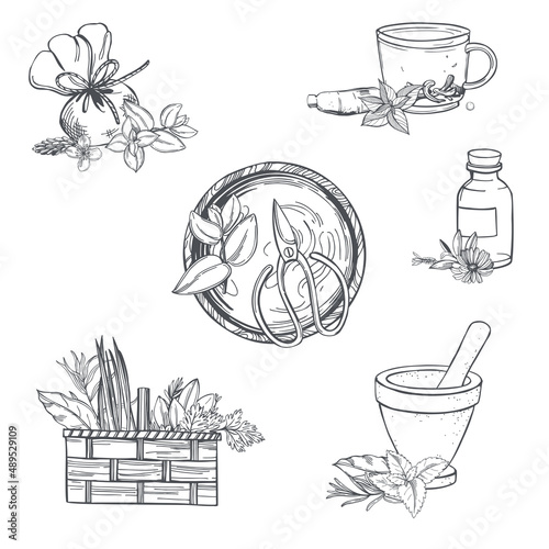 Herbalist set. Sketch illustration.