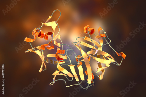 Molecule of pepsin stomach enzyme