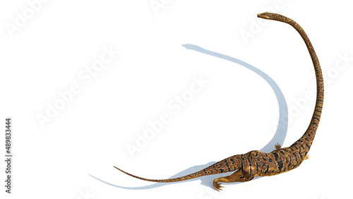 Tanystropheus, extinct reptile from the Middle to Late Triassic epochs, isolated with empty space on white background, top view
