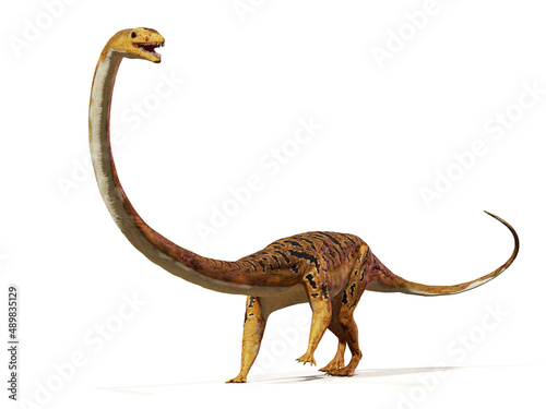 Tanystropheus, extinct reptile from the Middle to Late Triassic epochs, isolated on white background
