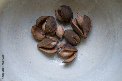 White Bowl with Several Hickory Nuts and Shells