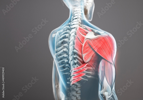 Shoulder and trapezius pain. Man view from back, back arm pain.