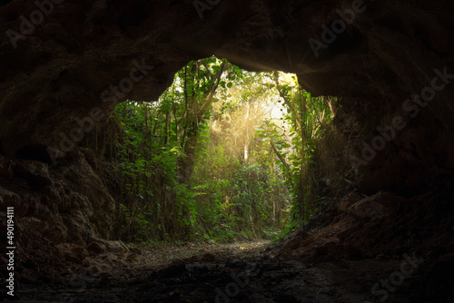 Beautiful view of the green plants captured from the dark cave in spring