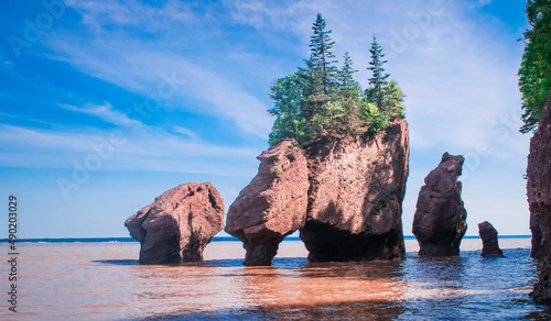 Scenic view of Hopewell Rocks in the Bay of Fundy, Canada on daytime