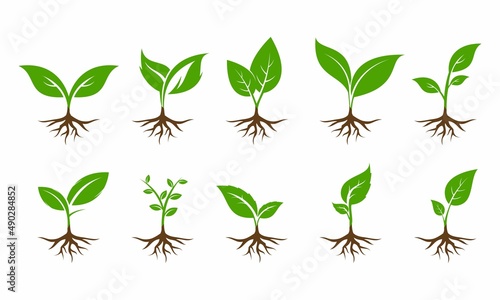 Plant with root set illustration vector design