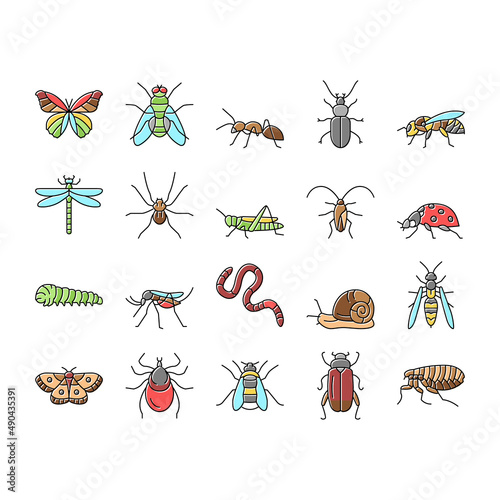 Insect, Spider And Bug Wildlife Icons Set Vector .
