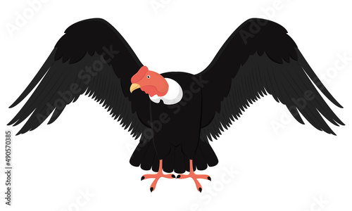 Isolated traditional black condor bird Vector illustration