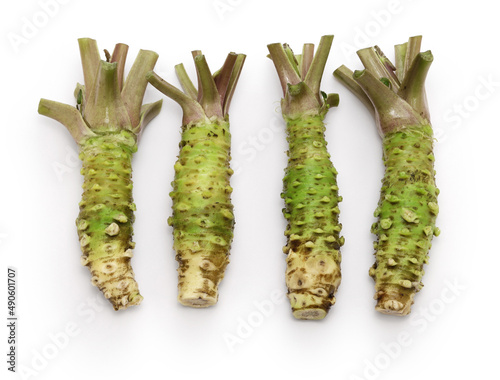 Wasabi (Japanese horseradish) is a Japanese condiment which is used in sushi and sashimi.