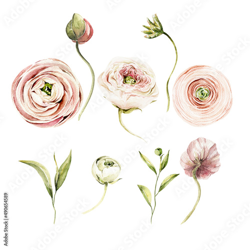 Watercolor floral composition. Hand painted anemone, ranunculus, pink peonies bouquet set. Flower, leaves isolated on white background. Botanical illustration for design, print or background