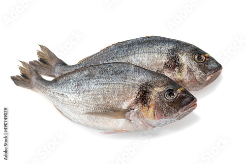 Gilt-head bream fresh raw fish dorada without scales and gills, ready for cooking. Picture of isolated dorade on white background for the fish seafood market menu