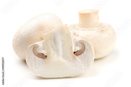 white mushroom isolated on white