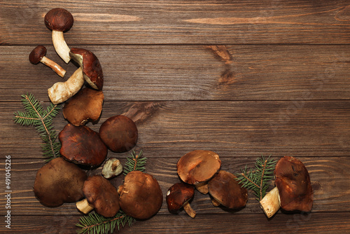 Forest mushrooms Boletus edulis and Boletus badius on a wooden background with space for text