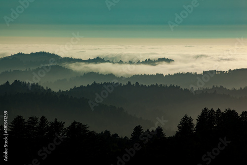 A coastal fog bank fills mountain valleys in the Santa Cruz Mountains, California