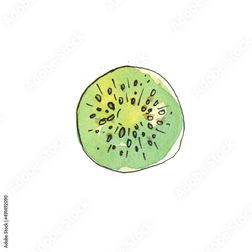 watercolor drawing fruit kiwi on a white background.
