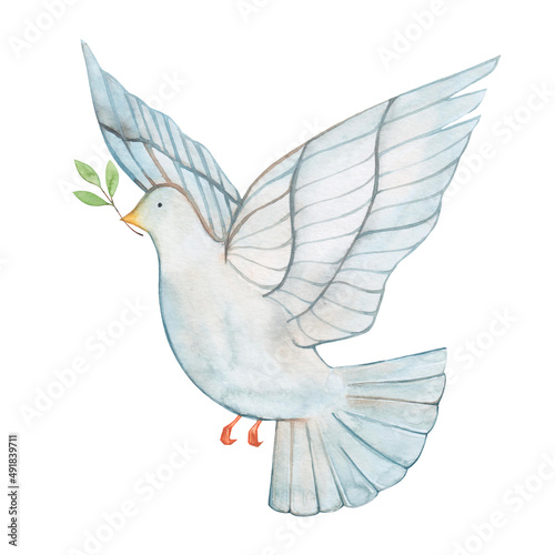 Watercolor drawing dove of peace isolated on white background. A bird with a branch. No war. Ukraine support.