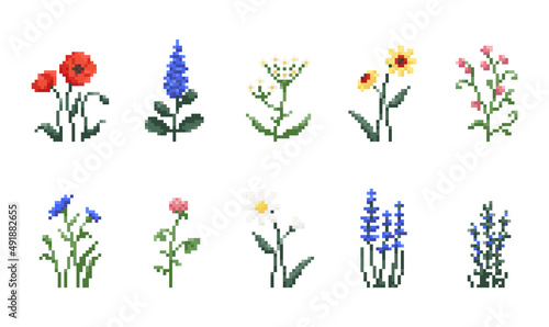 Set of Pixel art flowers. Vintage 90s gaming 8 bit icon of poppy, lavender, chamomile, clover, echinacea, rosemary, yarrow, knapweed, flowers. Vector pixel filed and wild flowers for game and print 