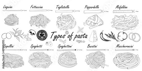 Types of pasta. Black and white. Long pasta difference, illustration example.