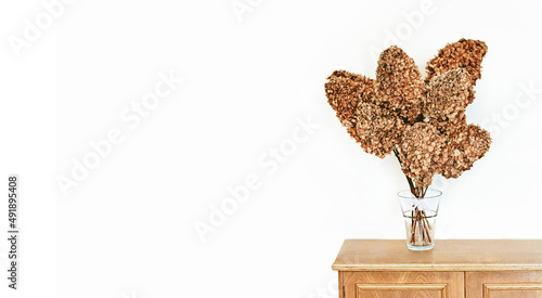 Bouquet of dried hydrangeas. Modern decor, white minimalistic background