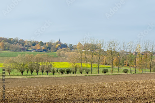  Flemish ardennes landscape, with farm fields, pollarded willow trees and a small church of he village of Onkerzele on the hilltop. Flanders, Belgium 