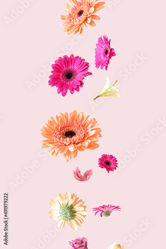 Colorful spring flowers floating in the air on a pink background. Aesthetic surreal flower layout.