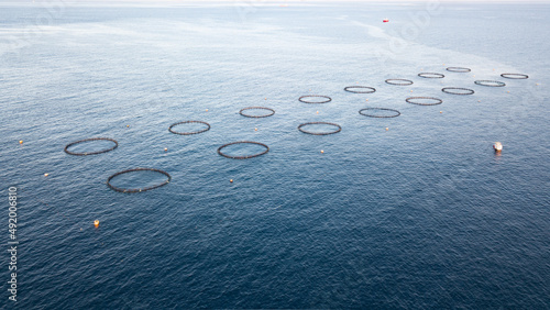 Drone photo of sea fish farm. Cages for fish farming in the open ocean