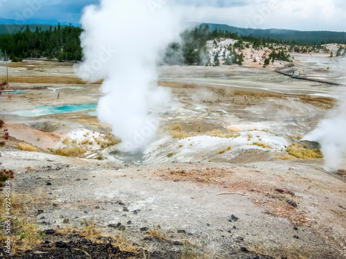Billows of steam fume from geothermal features in the Norris Geyser Basin of Yellowstone National Park, Wyoming, USA.